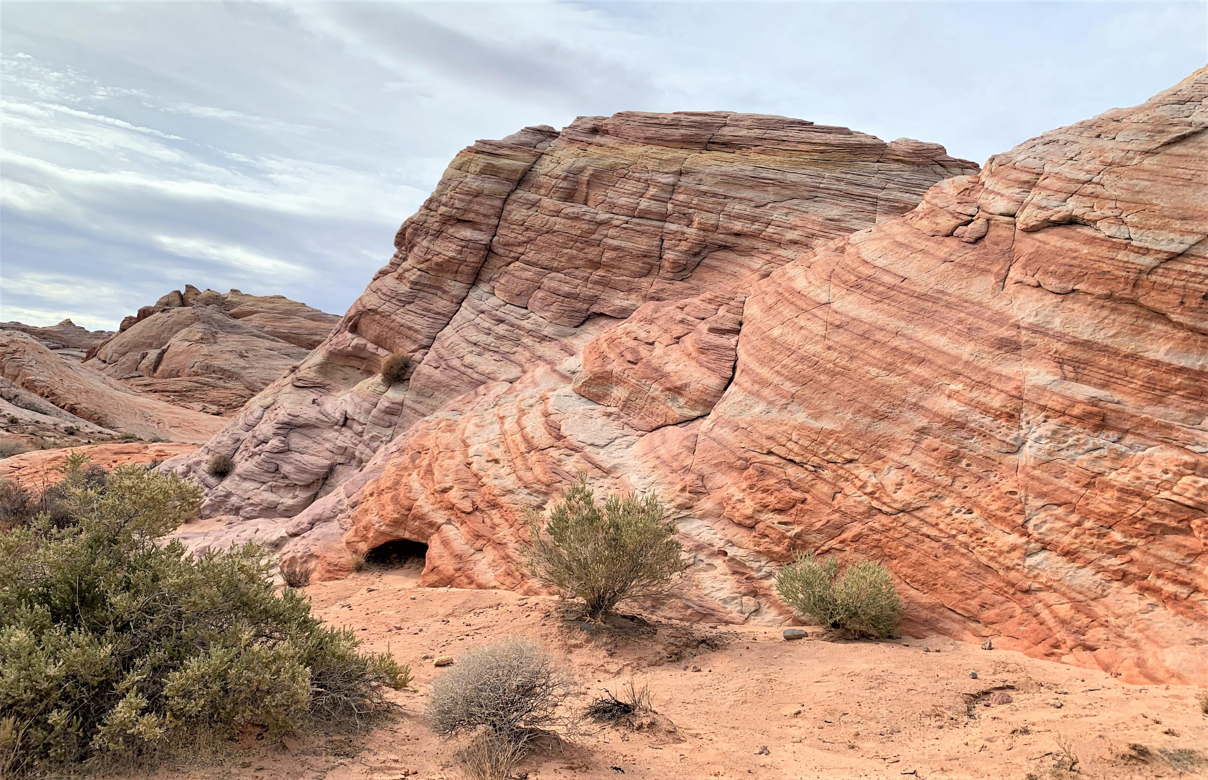 Nevada